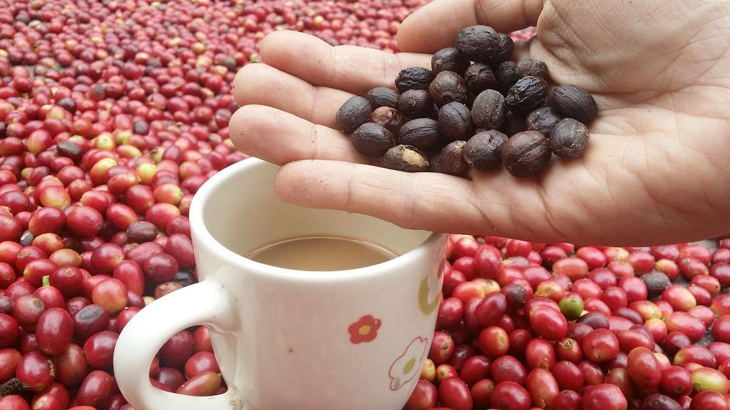 el-cafe,lo-quieres-o-lo-necesitas