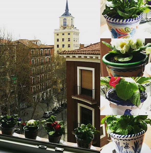 mi-piso-en-ribera-de-curtidores